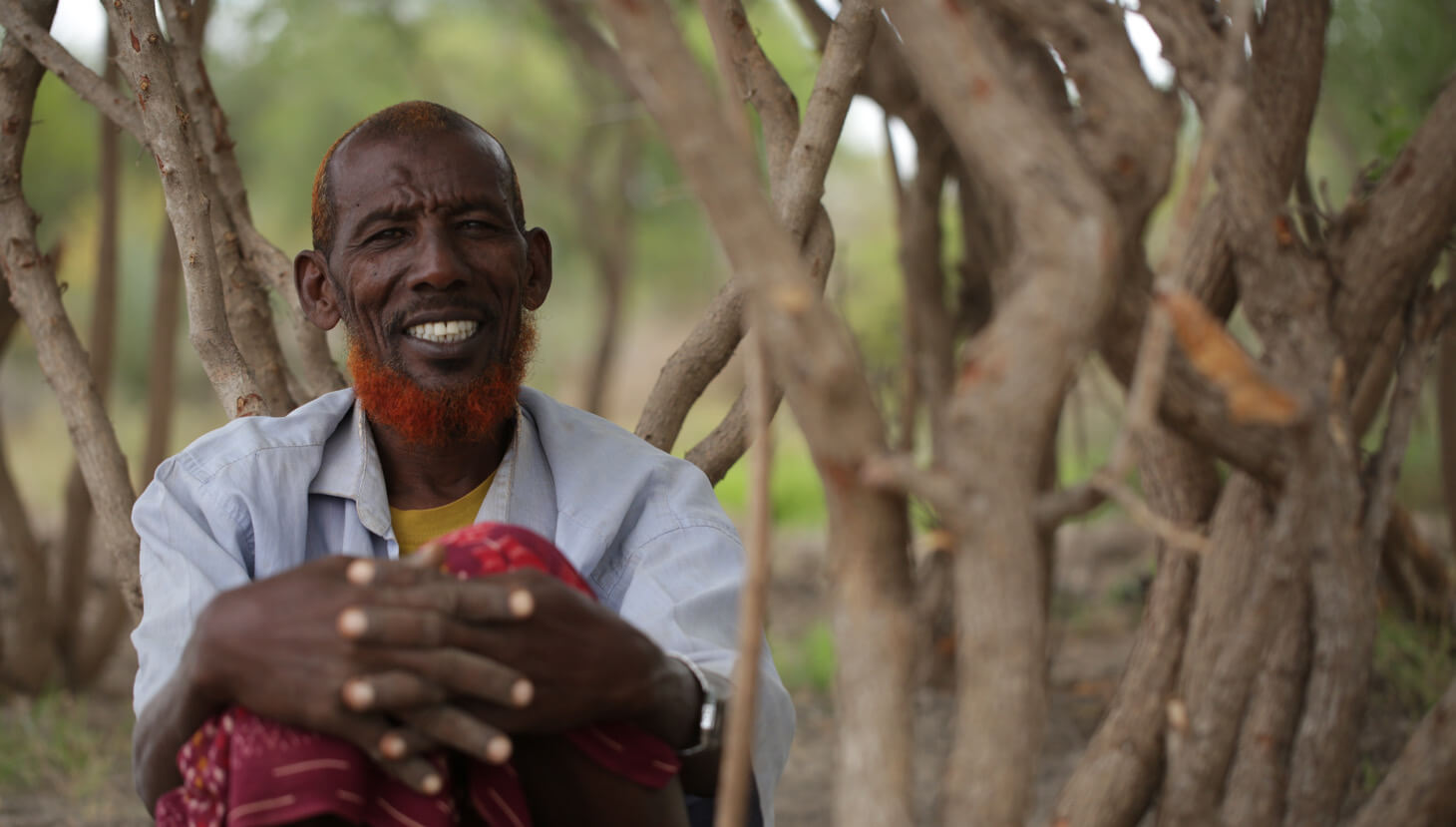 African old man sitted by a tree